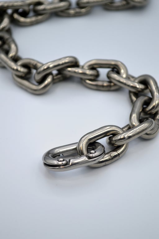 HERR stainless steel chain collar